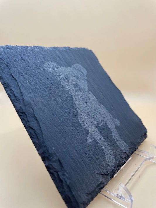 Slate photo coaster